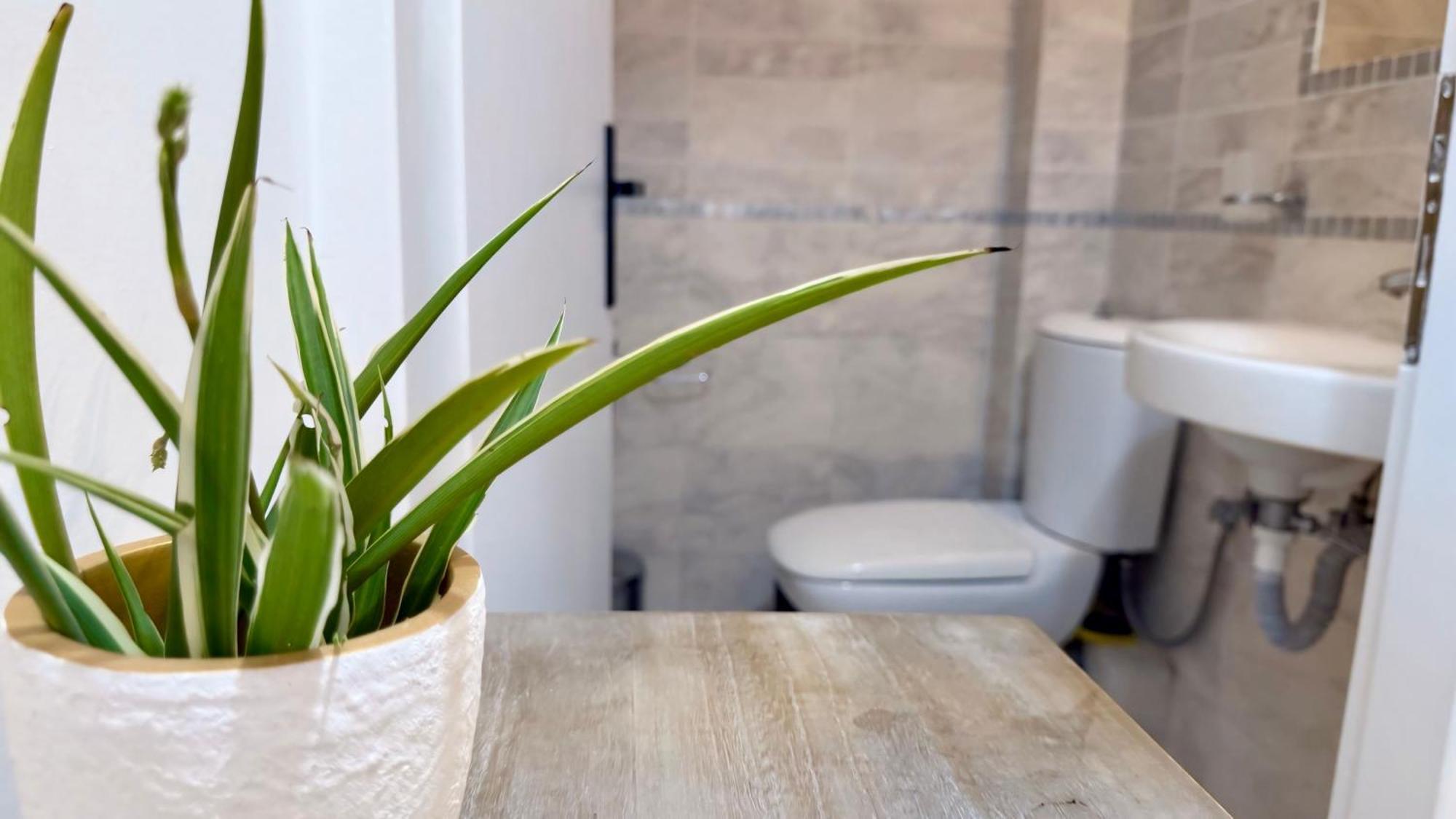 Le Jardin Apartment Каламата Екстериор снимка
